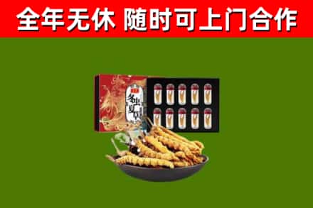 肇源县回收冬虫夏草价格