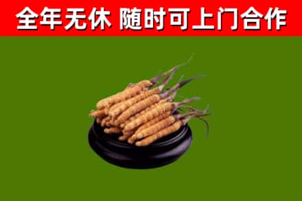 肇源县烟酒回收冬虫夏草.jpg